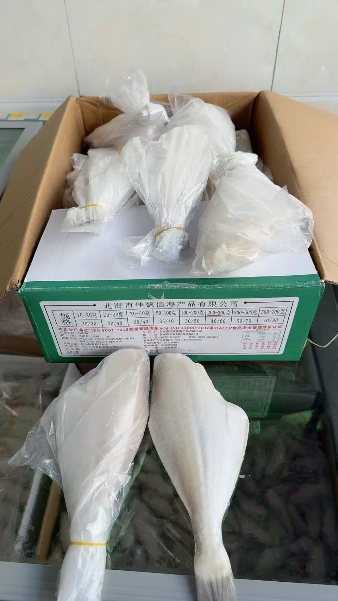 50/100马面鱼（耗儿鱼）