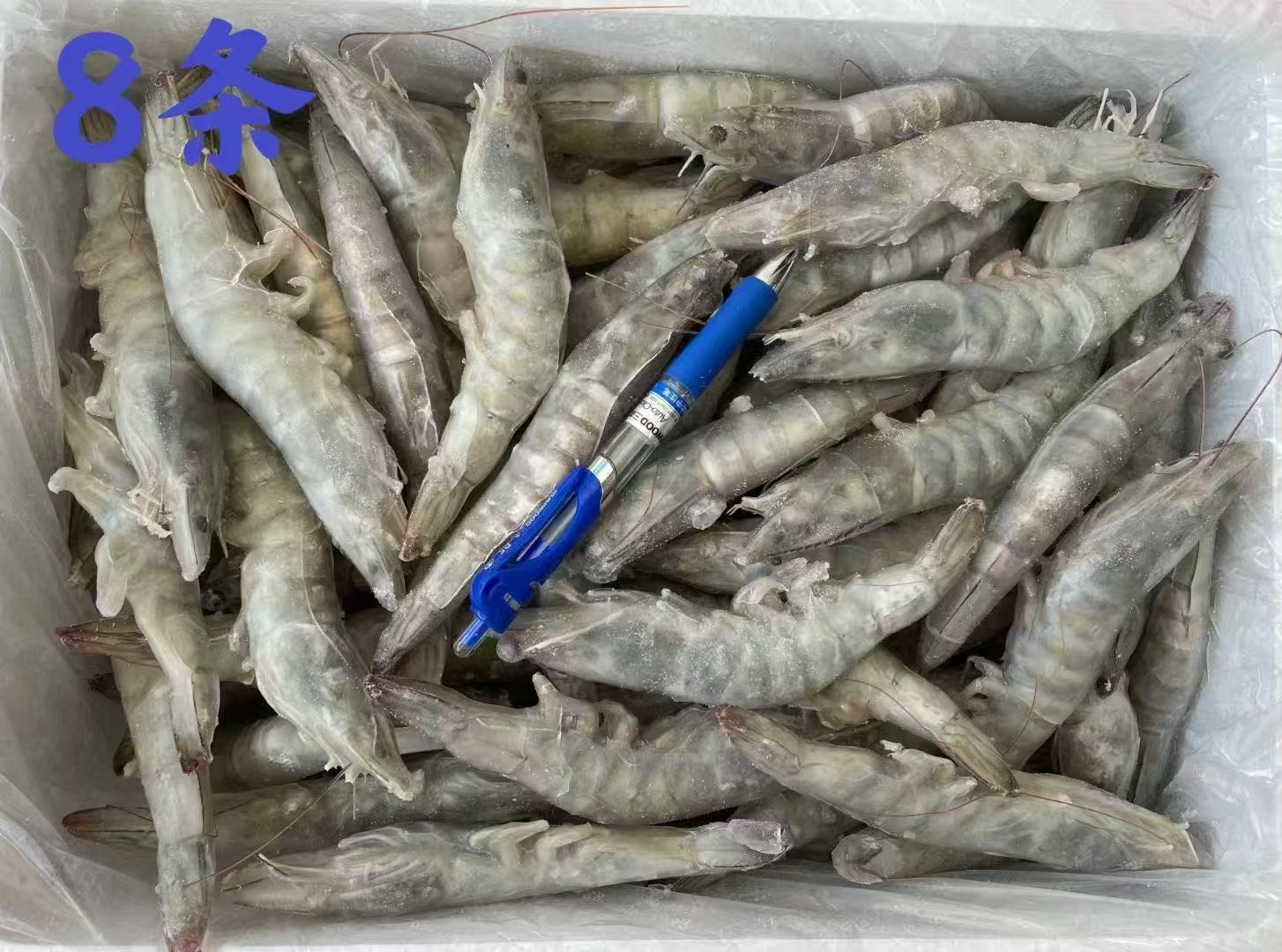 干青虾8条