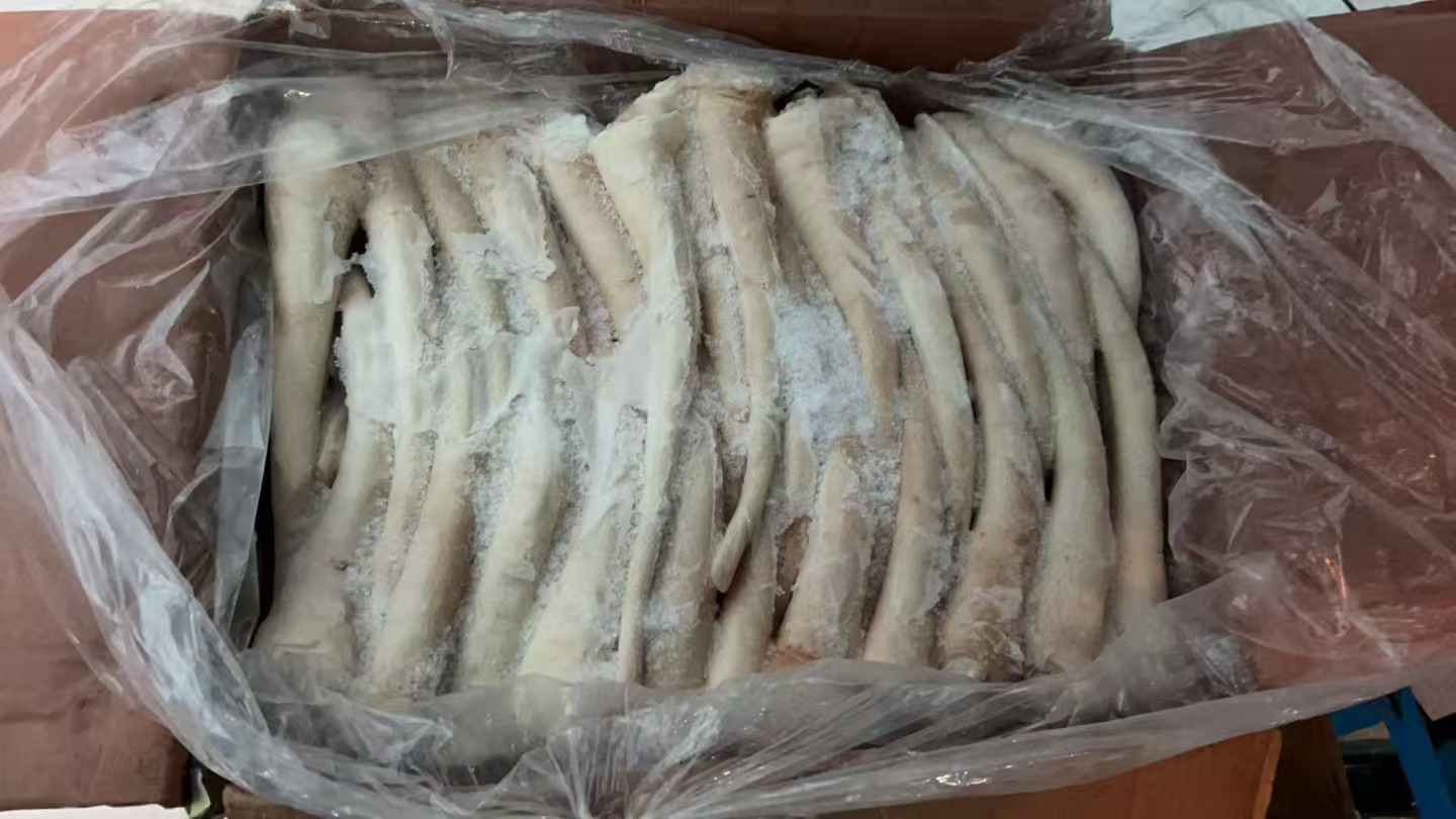 精冻猪尾（长尾）