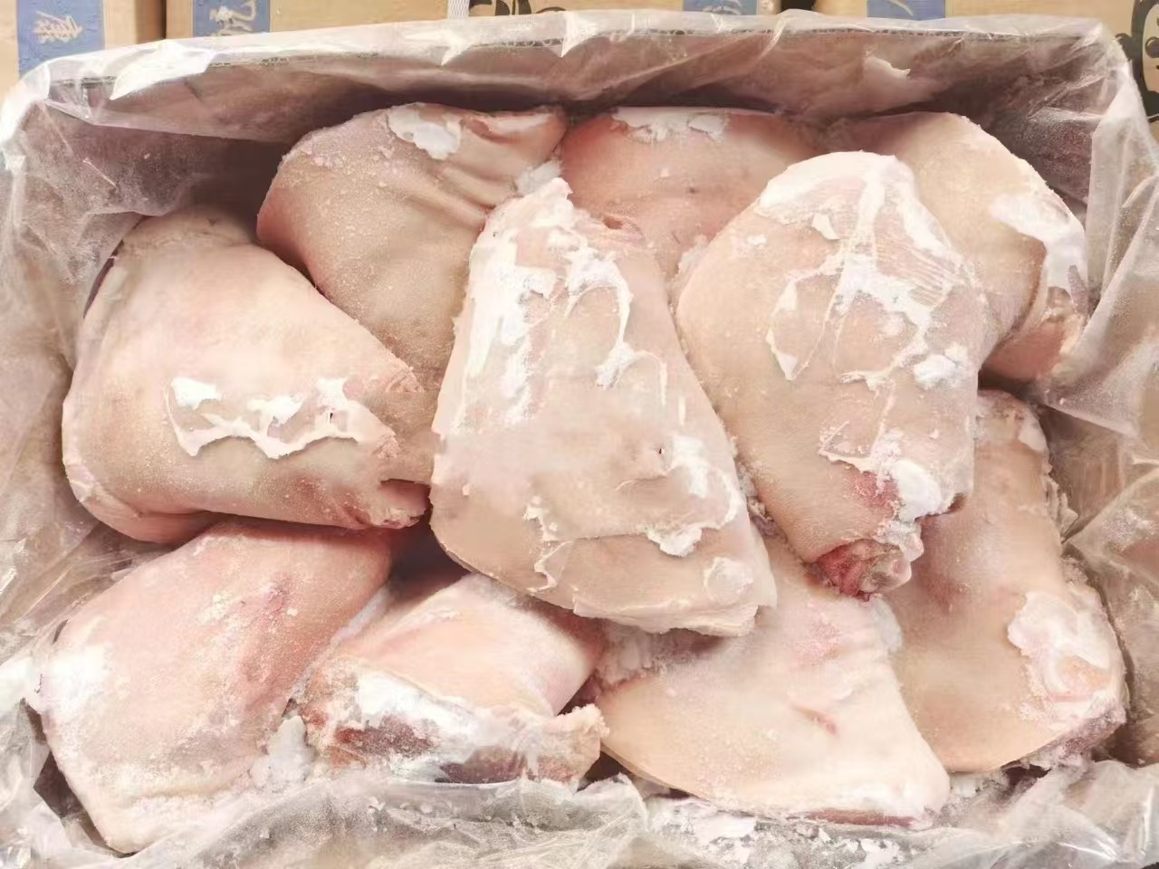 猪肘子（14-16个）