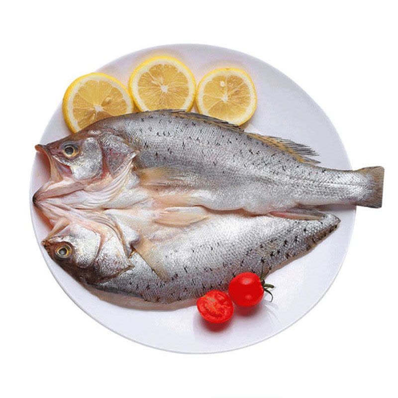 20条鲈鱼