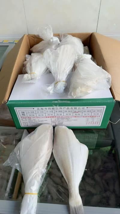 200/300马面鱼（耗儿鱼）8kg独立包装