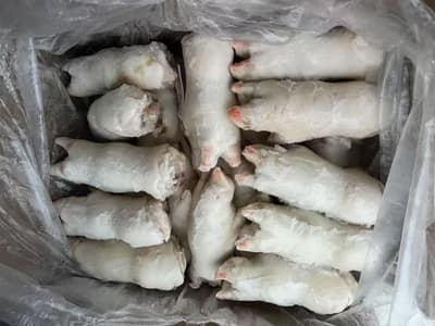 精制猪蹄